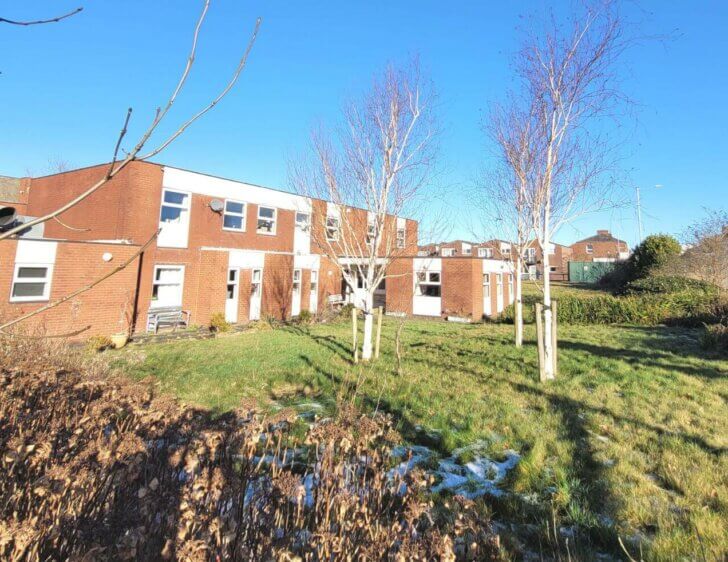 Companions and Prospective Companions