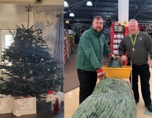 Christmas tree donation