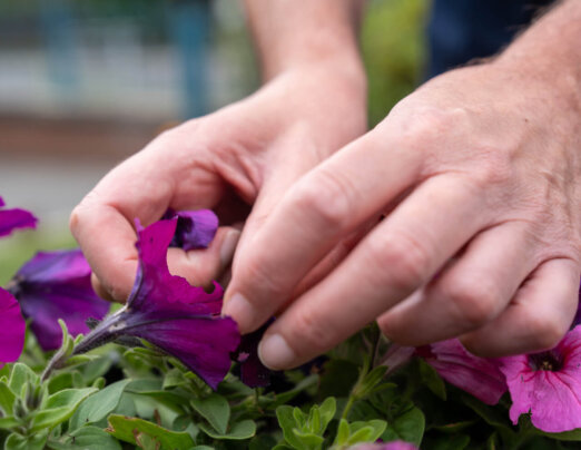 Sign up as a volunteer