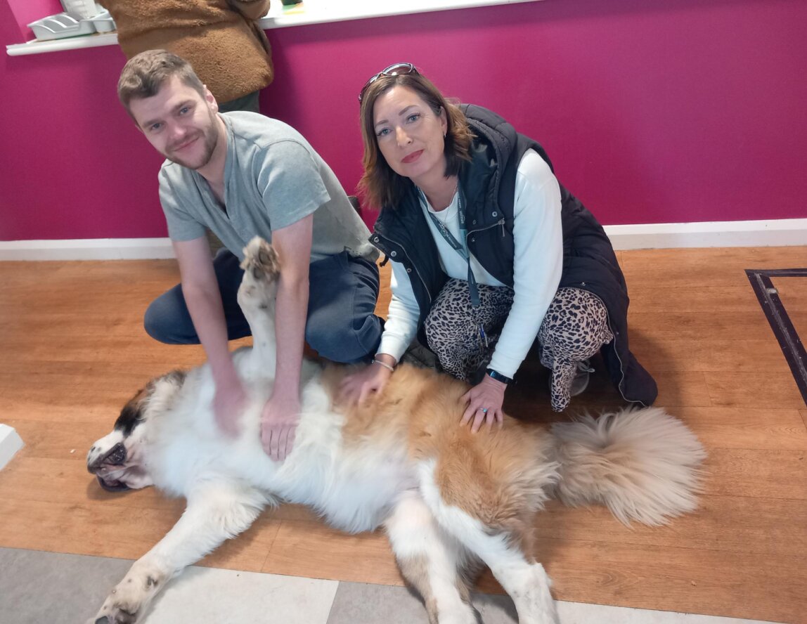 Brynawel Rehab Brings Joy and Wellbeing Dogs on a Special Visit