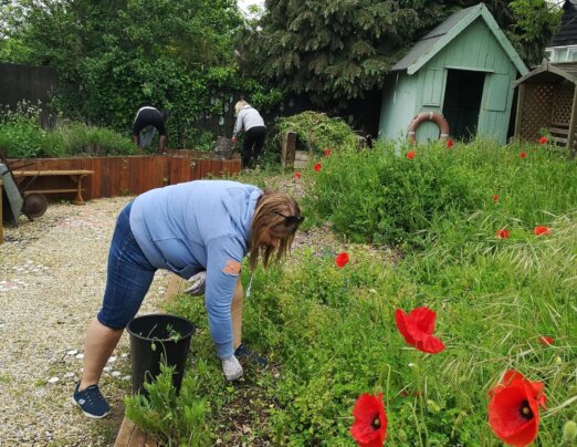 A summer of cooking, growing and connection!