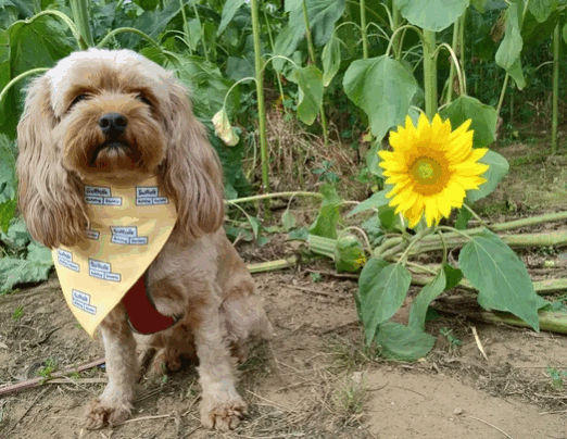 175 Miles of Fundraising!