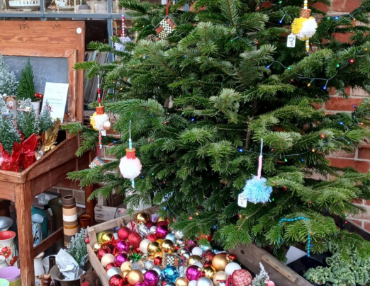Sussex Emmaus announces date for Christmas Fair