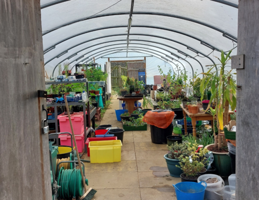 Championing reuse and sustainable living in Sussex