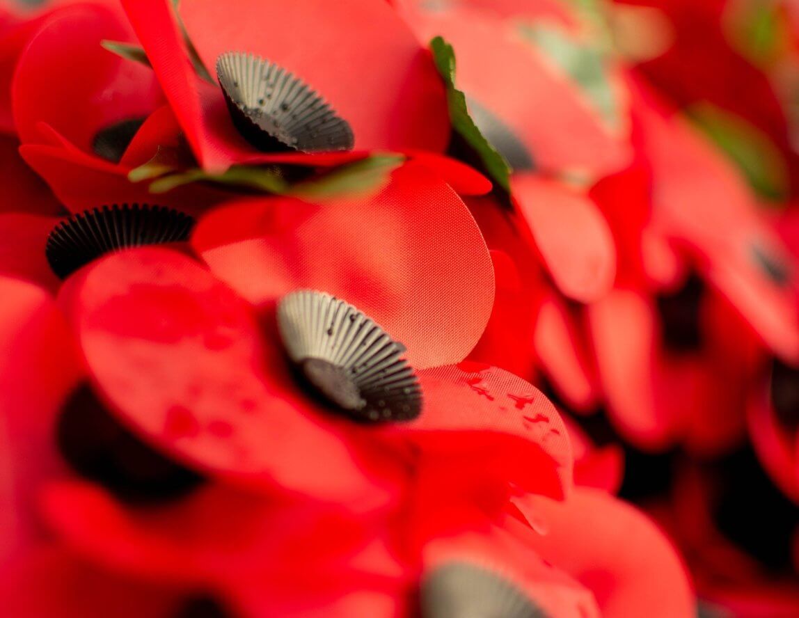 Remembrance Day art display