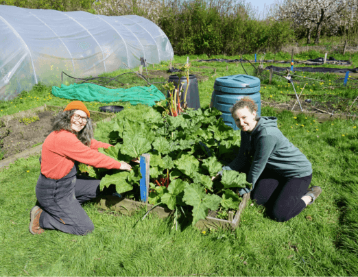Green-fingered volunteers needed for our garden rejuvenation project!