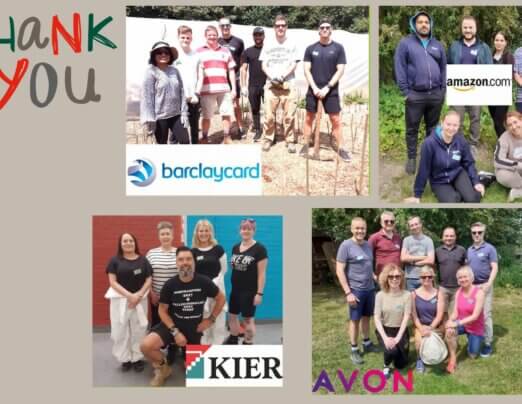 Huge thanks to our recent Corporate Volunteers!