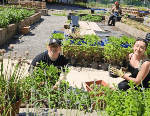 Volunteers from Victorian Plumbing help Emmaus community gardens grow